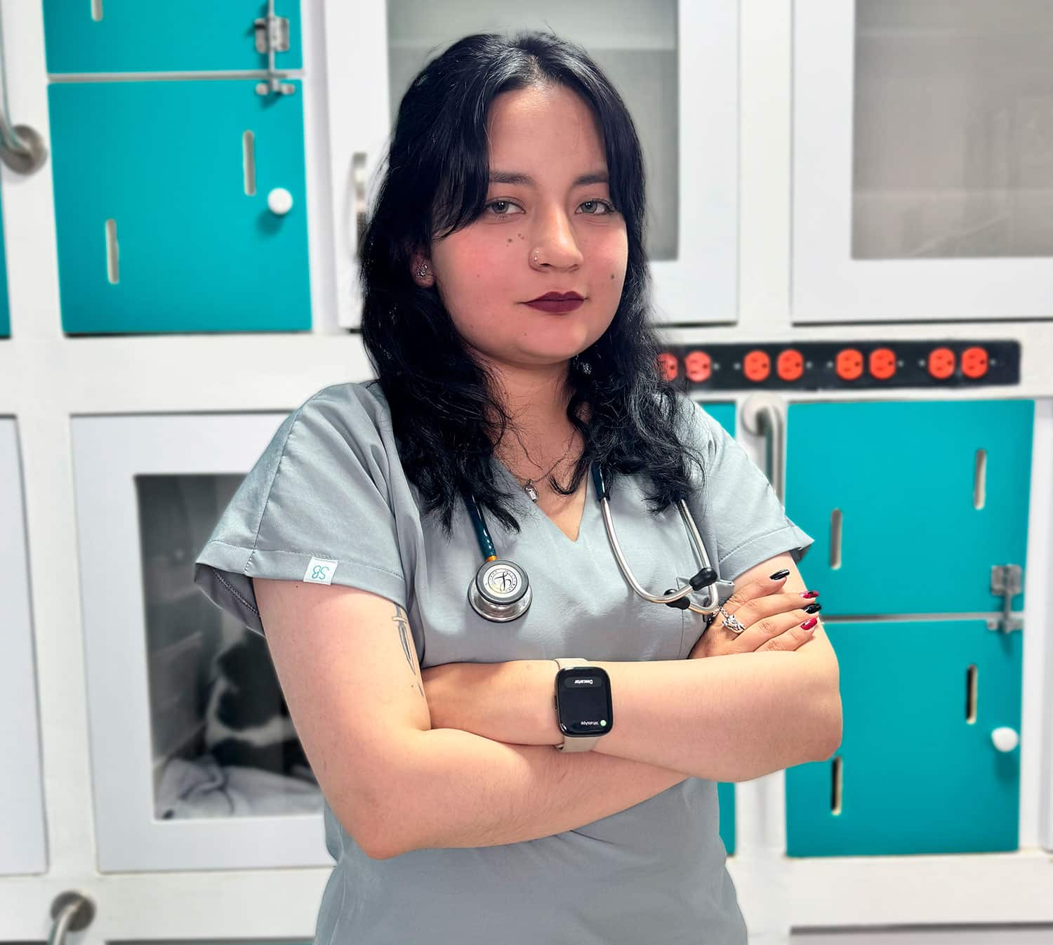 Unión de veterinarios para cuidar a los gatos en necesidad