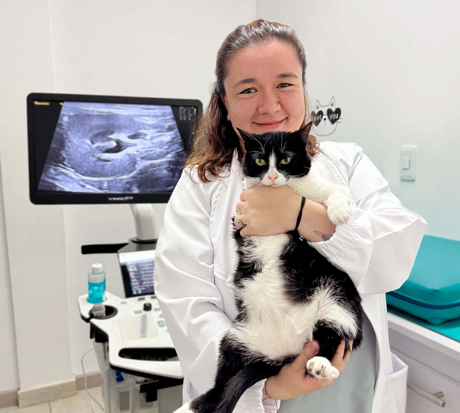 Cat Medical Care: cuidando a los gatos desde 2020