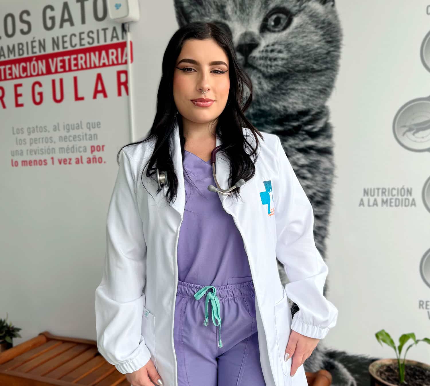 Incubadora para cuidados de gatitos recién nacidos